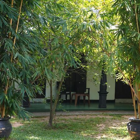 Sandra Guesthouse Dambulla Exterior photo