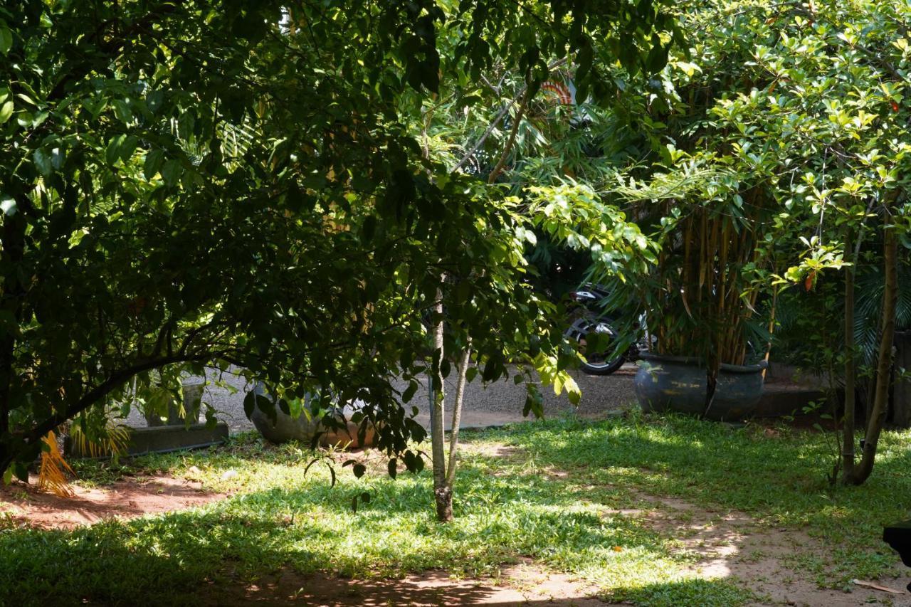 Sandra Guesthouse Dambulla Exterior photo