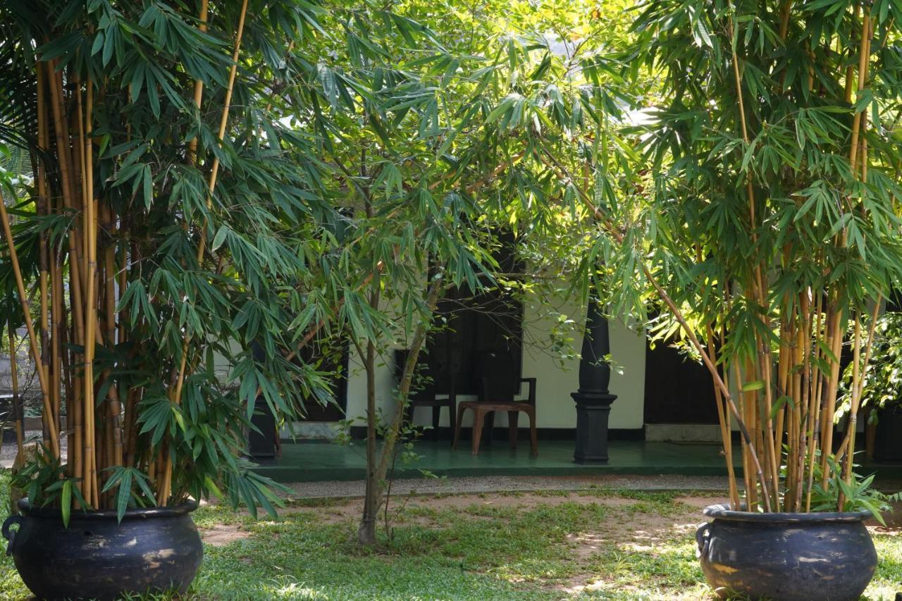 Sandra Guesthouse Dambulla Exterior photo